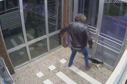 Büyük tepki çekmişti! Kedi düşmanı gözaltında
