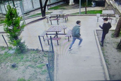 Bursa'da vandallık: Kedi kulübelerini yaktılar!