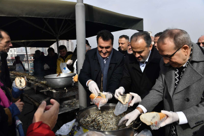 Osmangazi’de 1 tonluk hamsi festivali