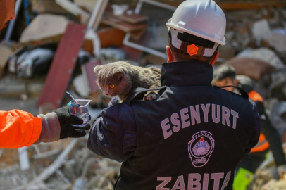 Hatay'da enkaz altında kalan kedi 121 saat sonra kurtarıldı