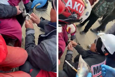 10 katlı binanın enkazından kurtarılan kedi hayata tutundu