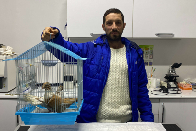 Enkazda ölen 4 kişilik ailenin güvercinleri madenciye hatıra kaldı