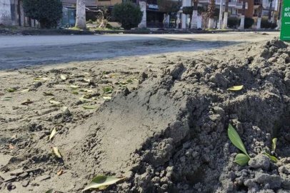 Deniz kumu sanıldı gerçek ortaya çıktı