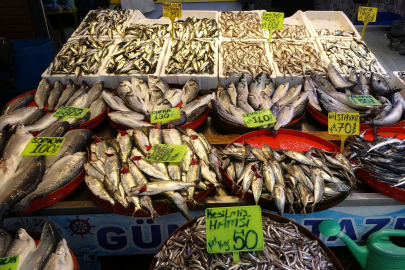 Balık avında Karadeniz'i bekleyen tehlike
