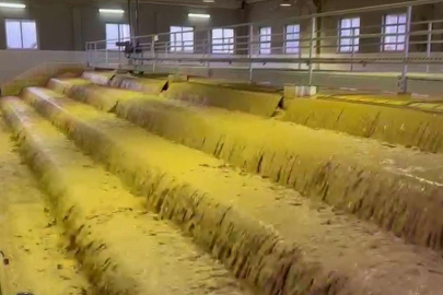 Şanlıurfa Valiliği'nden şebeke suyu açıklaması