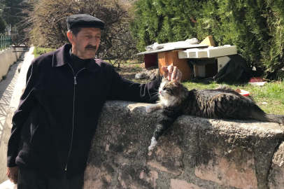 Komşularının istemediği kedileri için parka ev yaptı