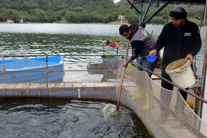 Deprem balık ihracatını da vurdu