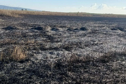 Göksu Deltası'ndaki yangın kendiliğinden söndü