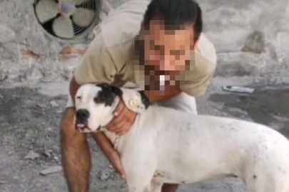 5 yaşındaki çocuğa ve kadına saldıran köpeğin sahibine hapis talebi