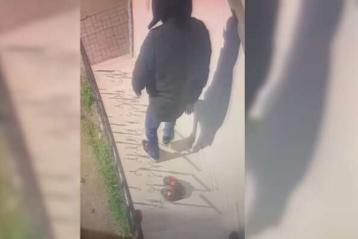 Bursa'da pişkin hırsız kamerada!