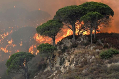 İtalya’da orman yangını: Alevler evlere yaklaştı