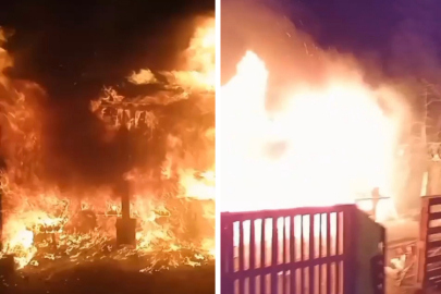 Bursa'da çiftlik yangını!