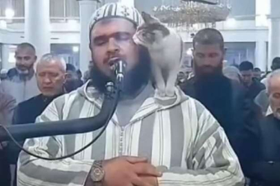 Teravih namazı kıldıran imamın kedi şefkati viral oldu