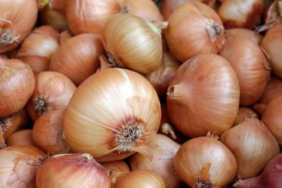 Soğan fiyatlarında düşüş beklentisi
