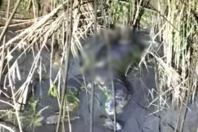 Tekirdağ'da dere yatağında cansız beden bulundu