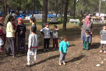 Depremde evleri yıkılan aileler ormanı mesken tuttu