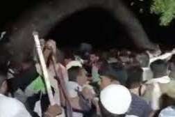 Hindistan’da tapınağın üzerine ağaç devrildi: 7 ölü, 30 yaralı