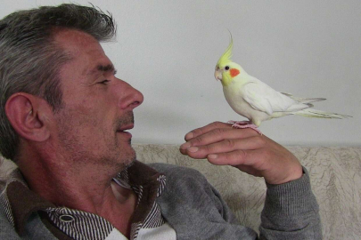 Siyasetle ilgili papağan: Televizyonda siyasi programlar izlemeyi seviyor, 'Reis başkan oldu' diyor