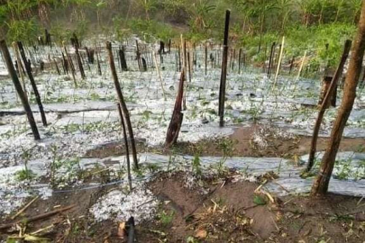 Tayland'da şiddetli fırtına ve dolu: 1 ölü
