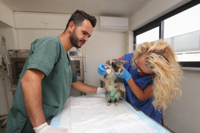 Hitachi Astemo Türkiye can dostların yanında