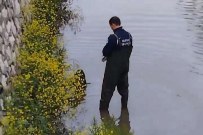 Bursa'da dereye düşen köpeğin imdadına itfaiye yetişti