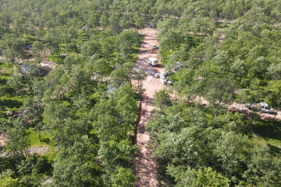 Cumalıkızık'a 100 bin metrekarelik orman parkı
