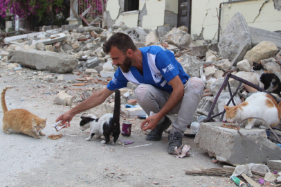 Hatay'da 10 bin depremzede 'can dost' mama desteği bekliyor
