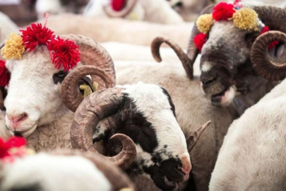 2023 yılı kurban vekalet ücretleri belli oldu