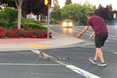 Ördeklerin yoldan geçmesine yardım ederken hayatını kaybetti