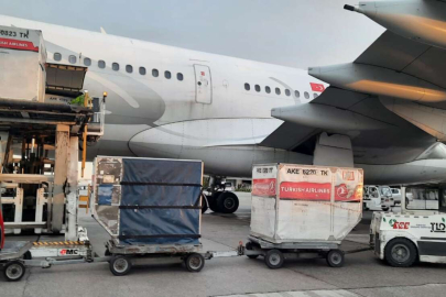 Yurt dışında kullanılan oylar Türkiye'de