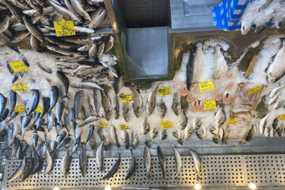 Balık fiyatları düştü, Karadeniz somonu 300 yerine 100 liradan satılıyor