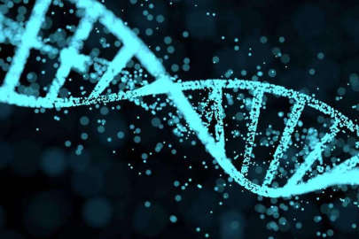 Ağrı ve acı duymayan kadının DNA'sı inceleniyor