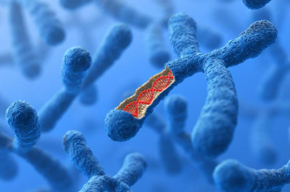 Araştırmacılar 4 bin yıllık veba DNA'sı buldu