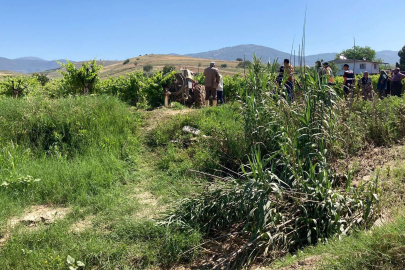 Ağaçtaki kuşu vurmak isterken komşusunu öldürdü