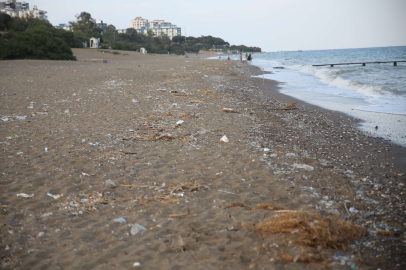 Deniz kaplumbağaları için kirlilik tehdidi