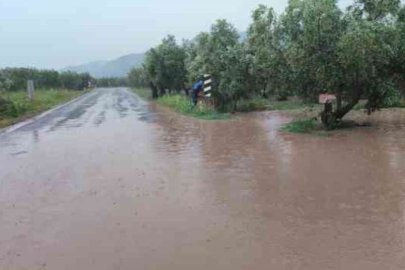 Orhangazi sele teslim oldu