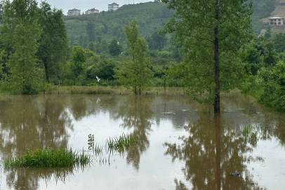 Ordu’da evler ve tarım arazileri sular altında