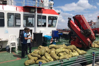 Marmara'da 70 ton kaçak midye ele geçirildi