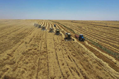 Tarımsal destekleme ödemeleri bugün hesaplarda