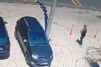 Marmaris yangınında ölü bulunan kişinin son görüntüleri ortaya çıktı