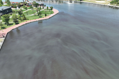 Haliç’i besleyen Alibey deresi atıklarla doldu