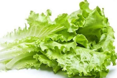 İstanbul'da Haziran ayında en çok kıvırcık salata pahalandı