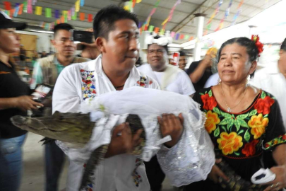 Meksikalı belediye başkanı timsahla evlendi