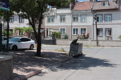 Kayseri'de çöp konteynerine atılmış bebek cesedi bulundu!