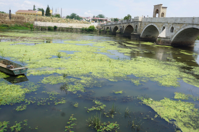 Tunca Nehri çöplüğe döndü