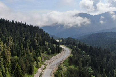 İçişleri Bakanlığı'ndan ormanlara giriş yasağı