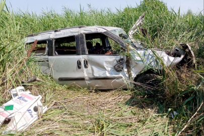 Bursa'da köpeğe çarpan araç şarampole uçtu