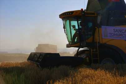Tahıl ambarı Konya Ovası'nda arpa hasadı başladı