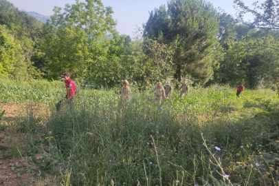 Korhan Berzeg 22 gündür kayıp, arama alanı genişletiliyor