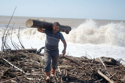 Kışlık odunlar denizden çıktı